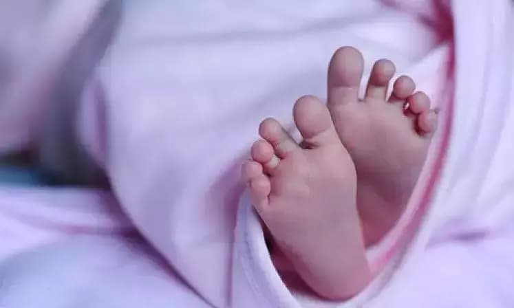 Andhra: पलनाडु गांव में संदिग्ध रेबीज से एक बच्चे की मौत
