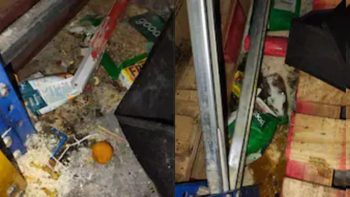 बेंगलुरु में जेप्टो के वेयरहाउस में गंदगी का अंबार, स्वास्थ्य विभाग की छापामारी में खुलासा